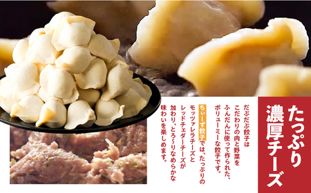 だぶだぶ の 肉汁 を すすりたくなる餃子ちぃーず 100個 T060-004 惣菜 総菜 加工食品