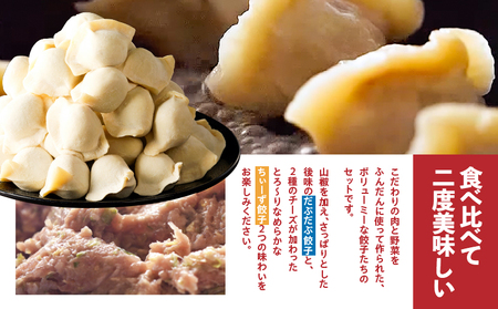 だぶだぶ の 肉汁 を すすりたくなる餃子 と 餃子ちぃーず セット T060-005 惣菜 総菜 加工食品