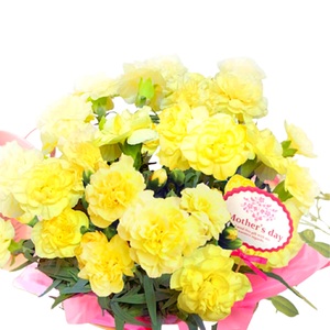 母の日に 【先行予約2026年5月から順次発送】 カーネーション 黄色 母の日花