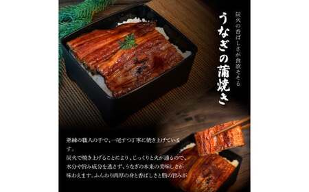 特選うなぎの蒲焼き 2尾 6ヶ月定期便 約130g×2尾 タレ付き 山椒付き ヤマシン