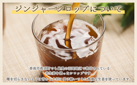 【定期便／年3回お届け】 香南市ジンジャーシロップ 生姜 (200ml)×5本セット 定期便 Wyr-0056