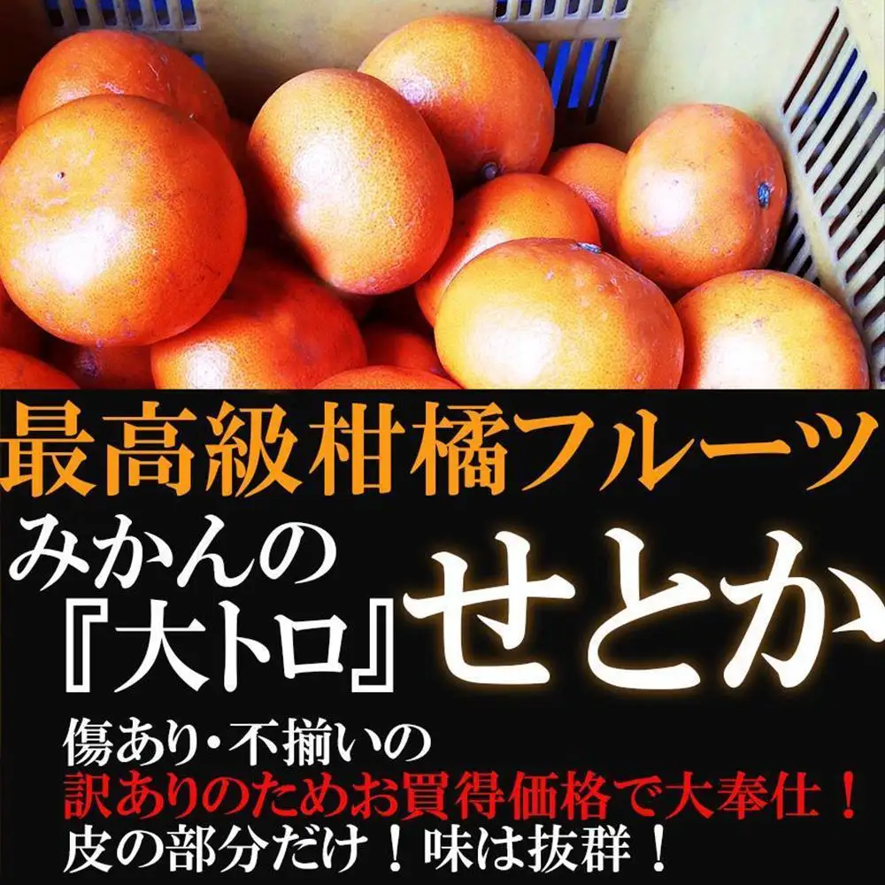 せとか みかんの大トロ 約5kg 訳あり ブランド 和歌山 有田みかん 農家直送 オレンジ フルーツ 果物