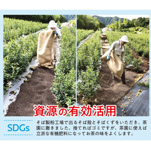 【先行予約 2026年5月11日以降順次発送予定】 新茶 3種 オーガニック新茶