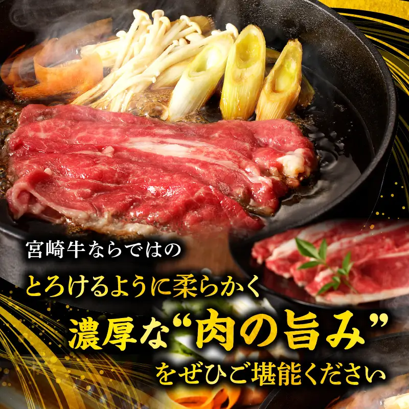 牛肉 しゃぶしゃぶ 牛肉[宮崎牛 肩バラ 500g]