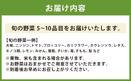 直売所おすすめ！旬野菜セット 5～10品目 ／ やさい 旬 野菜 詰合せ 詰め合わせ 新鮮 産地直送 ふるさと  おまかせ お楽しみ きんかい味彩市 長崎県 長崎市