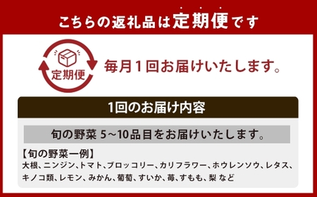 【全3回定期便】 農産物直売所おすすめ！ 旬野菜 セット 5～10品目 ／ やさい 旬 野菜 詰合せ 詰め合わせ 新鮮 産地直送 ふるさと おまかせ お楽しみ きんかい味彩市 長崎県 長崎市
