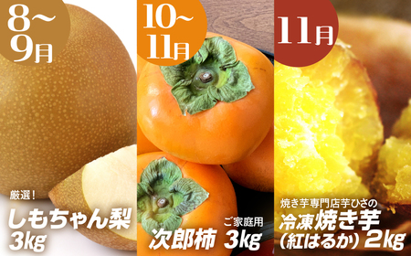 穂の国 秋の味覚定期便 3回 フルーツ 果物