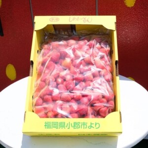 いちご 白木のいちご 旬のおいしさそのまま 冷凍いちご (品種混合) 2kg イチゴ 苺 果物 デザート ※配送不可：沖縄・離島【発送時期：2026年4月上旬】