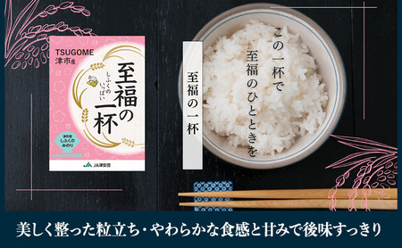至福の一杯 5kg 令和7年産 米 お米 ご飯 飯 精米 津市 三重県 新品種