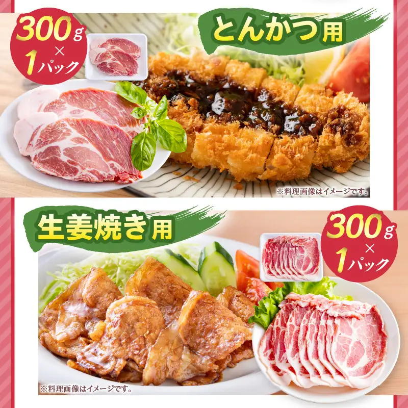 豚肉 肩ロース 豚肉[宮崎県産 セット 1.5kg サイコロステーキ・とんかつ・生姜焼き等]