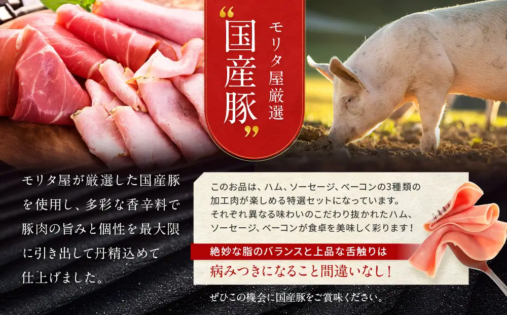 【京都モリタ屋】モリタ屋ハム・ソーセージ・ベーコンセット｜京都 老舗 有名店 ﾍﾞｰｺﾝ