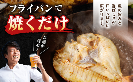 鹿児島 錦江湾 の ソフト 干物 5種 セット K295-001 魚 冷凍