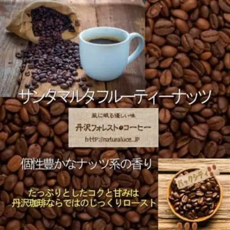 丹沢フォレスト甘味焙煎コーヒー豆 3種_飲料・ドリンク コーヒー豆 コーヒー・コーヒー豆 珈琲 珈琲豆_【1550897】