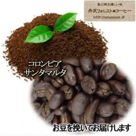 丹沢フォレスト甘味焙煎珈琲豆(挽) 3種_飲料・ドリンク 粉 コーヒー・コーヒー豆 珈琲 珈琲豆_【1550909】