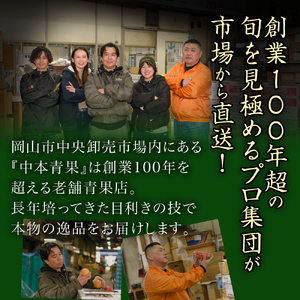 ZZ-19　【令和8年発送・先行予約】岡山県産　詰合/白桃（1玉220g以上）2玉・ニューピオーネ（480g以上）2房　化粧箱入り