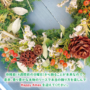 【11月下旬以降発送・数量限定】常緑樹の香りあふれるクリスマスリース（限定品）【インテリア おしゃれ 壁飾り プレゼント お花 ギフト ナチュラル クリスマス リース 水戸市 水戸 茨城県】（KW-3）