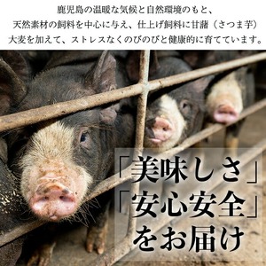 No.1154 鹿児島県産黒豚肉使用！黒豚切り落とし(計900g・150g×6P)国産 九州産 黒豚 豚肉 切り落とし 切落し 生姜焼き すき焼き 小分け 冷凍【コワダヤ】【404】【1155】