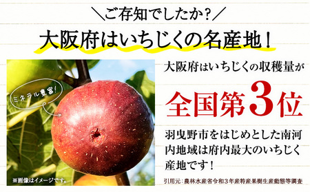 お試し 朝採りいちじくを使ったドライいちじく 約60g