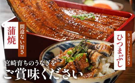 宮崎県育ちの【特大】うなぎ蒲焼3尾680g以上≪山椒・たれ付≫_29-M301_(都城市)  特大うなぎ蒲焼(有頭) 宮崎県産 真空 山椒・たれ付