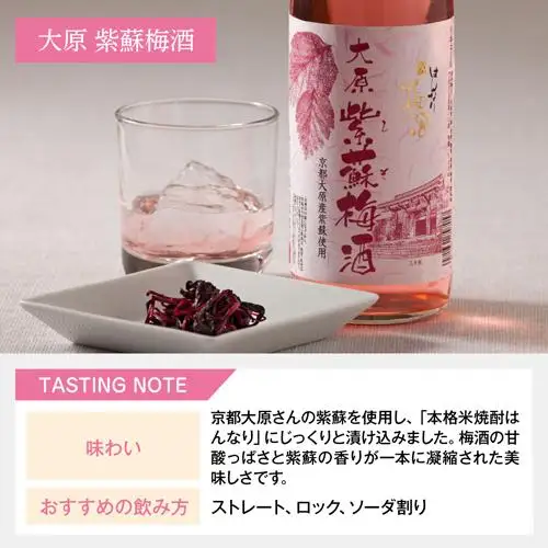 【リカーマウンテン】梅酒セット はんなり京梅酒 180ml×5本  飲み比べセット 北川本家［ 京都 お酒 梅酒 梅 リカマン 人気 おすすめ 定番 おいしい ギフト プレゼント 贈答 ご自宅用 お取り寄せ ］ 