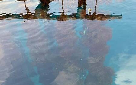 【産地直送】三陸山田産 剥き身 牡蠣 約500g×2パック 大福丸 岩手県 三陸山田 山田町 山田湾 三陸 海産品 かき カキ YD-724