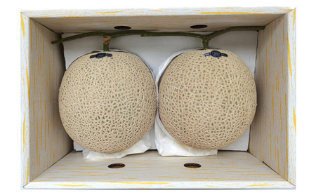 【2026年7月より順次発送】アールスメロン 2個 セット 約1.5kg×2個 静岡県浜松市産 メロン 2玉 果物 フルーツ 静岡 浜松市 三ヶ日