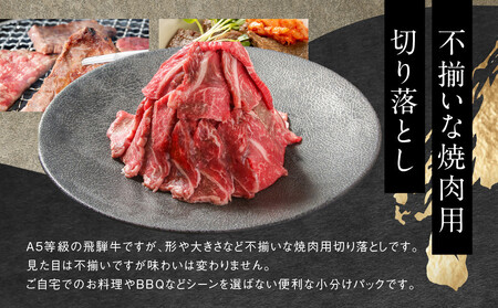【形不揃い訳あり】A5等級飛騨牛 焼肉 切り落とし600g（冷蔵配送）| 牛肉 肉 和牛 キャンプ 肉料理 ブランド牛 不揃い 人気 国産 お取り寄せ グルメ おすすめ 株式会社岩ト屋 HF040VC13