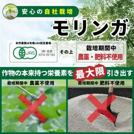 無添加モリンガパウダー(30g×2袋)【1550734】