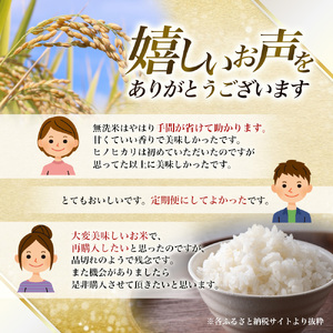 【令和7年産米】（6ヵ月定期便） 無洗米 奈良県産 ヒノヒカリ 計30kg（5kg×1袋×6回）／ 全農パールライス 米 お米 白米 国産 奈良県 葛城市 こめ コメ ライス ご飯 ごはん ふっくら もちもち つやつや おいしい 美味しい 贈り物 国産 特産品 産地直送 数量限定 人気 おすすめ 5キロ 5kg 6ヵ月 【prr-tkb002】
