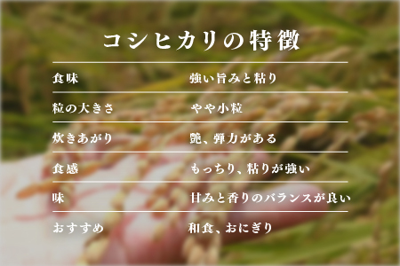 【数量限定！20袋限定販売！！】令和7年産　コシヒカリ　通常便（1回配送）計10kg（5kg×2袋）