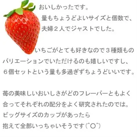 イチゴ農家のこだわり いちごアイスクリーム詰め合わせセット　Bell Farm(3種×2個)6個【配送不可地域：離島】【1082439】