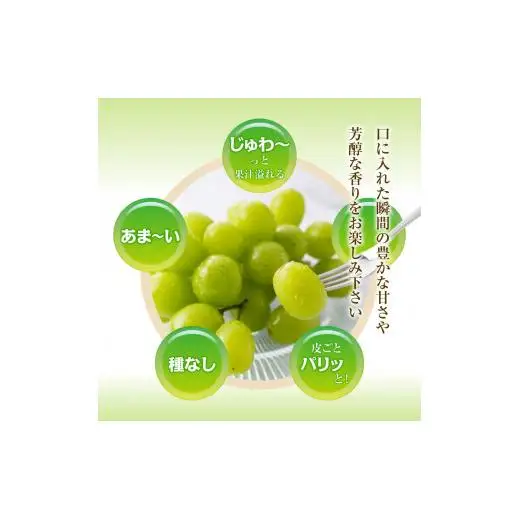 シャインマスカット　600g　2026年先行予約分　シャインマスカット