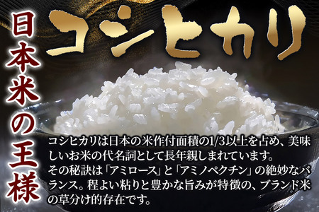 【令和7年産・玄米】宮城県栗原市産 コシヒカリ 10kg (10kg×1袋)
