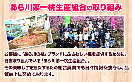 【先行予約】あら川の桃 約1.5kg (5-7玉) あら川第一桃生産組合《2026年6月下旬から8月下旬頃出荷》｜桃 もも モモ フルーツ 果物 白鳳 清水白桃 川中島白桃  和歌山県産の桃 紀の川市の桃 和歌山の桃