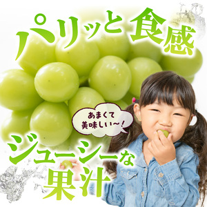 〈2026年度配送分〉シャインマスカット2房（約1.0kg） シャインマスカット 山梨 県産 先行予約 2026年 ぶどう フルーツ 2房 冷蔵 生産量 日本一 甲府 市産 1.0kg以上 フルーツ王国山梨 2026年8月中旬～9月中旬にかけて順次発送