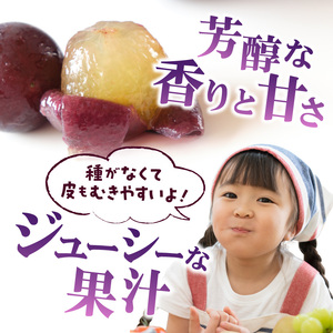 〈2026年度配送分〉ピオーネ2房（約1.0kg） ピオーネ 大粒 山梨 県産 先行予約 2026年 ぶどう フルーツ 2房 冷蔵 生産量 日本一 甲府 市産 1.0kg以上 フルーツ王国山梨 2026年8月上旬～8月下旬にかけて順次発送