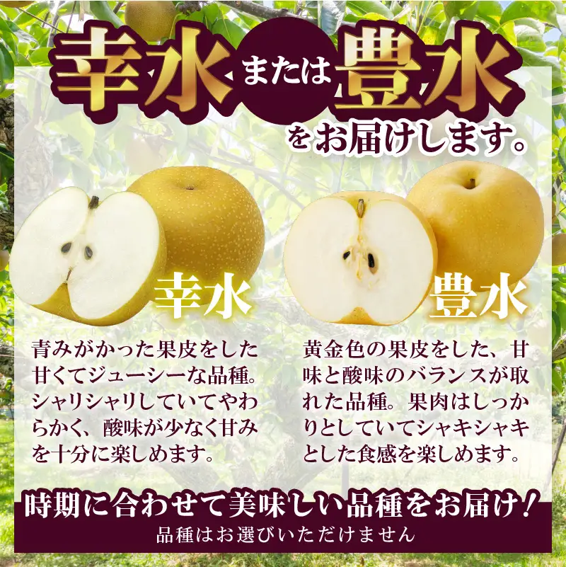 【ふるなび限定】〈2026年度配送分〉梨 5～7玉（約2.0kg） FN-Limited