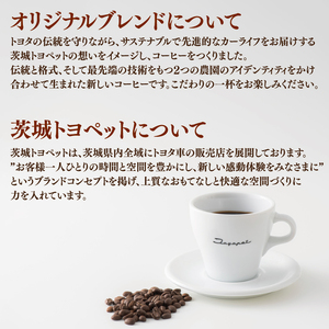 【茨城トヨペットカップオン 20P】（5p×4箱）（CD-16）
