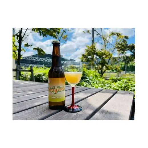 クラフトビール6本 3種飲み比べセット