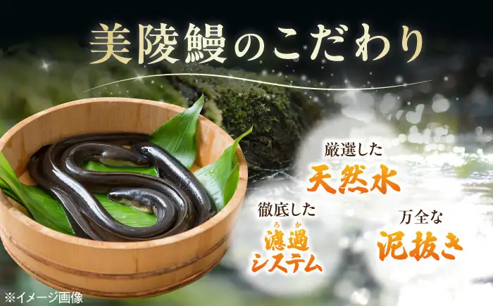 【全6回】鰻 鰻の白焼 3尾 BLAM012