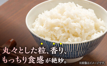 【3回定期便】 にこまる 白米 計10kg（5kg×2袋）【竹下農園】[ZEL008]