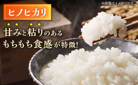 〈令和7年度産米〉【3回定期便】 ヒノヒカリ・にこまる 白米 食べ比べ 計10kg（5kg×2袋）【竹下農園】[ZEL011]