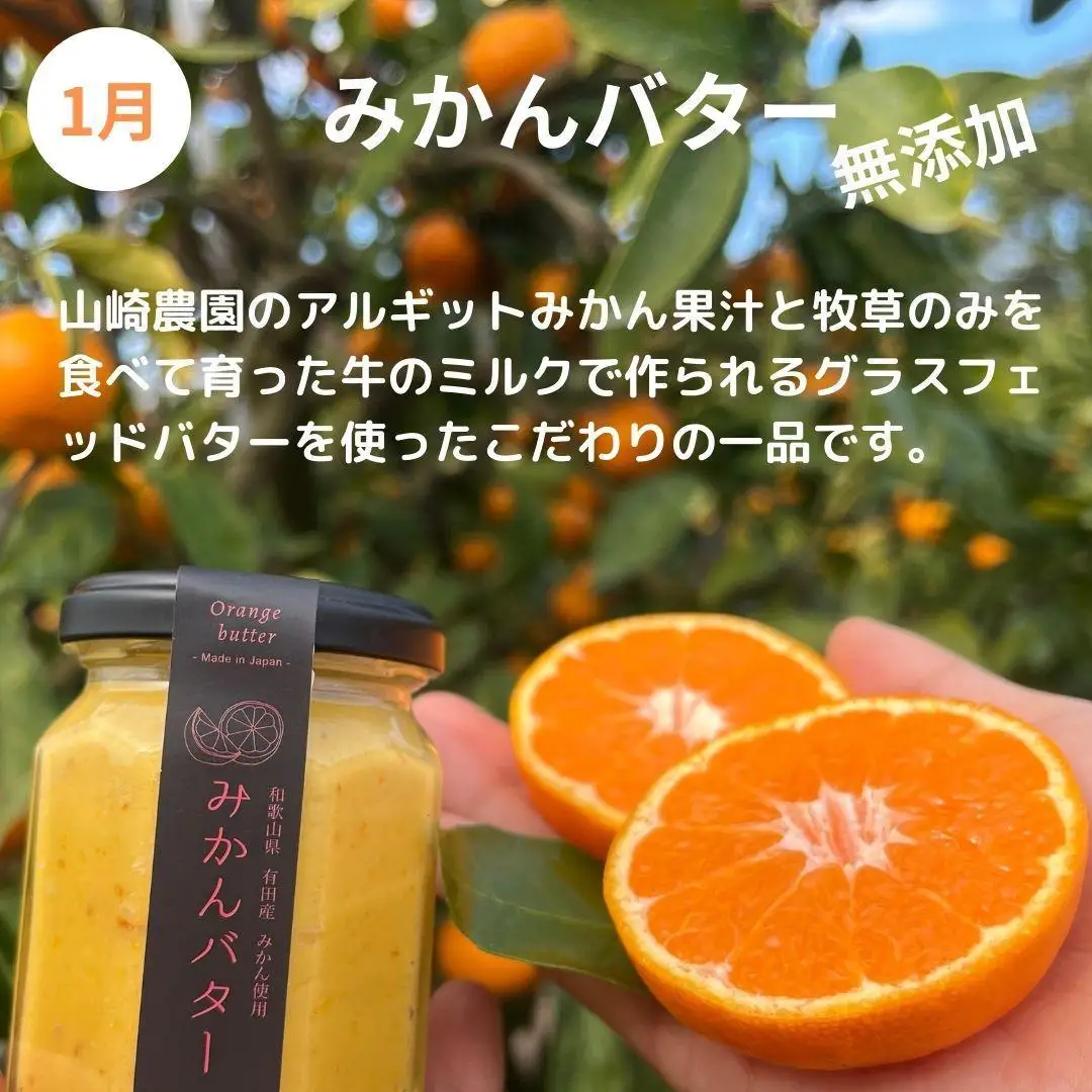 みかん満足セットM | 定期便 全3回 フルーツ みかん 不知火 バター 12月～2月