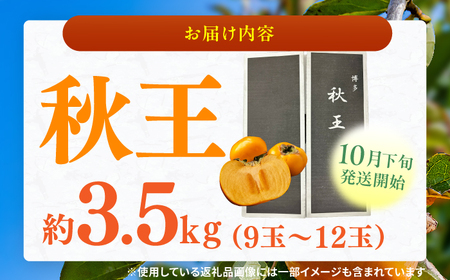 【★先行予約★ 2026年10月下旬より発送】柿（秋王） 約3.5kg / 柿[AFAB074]