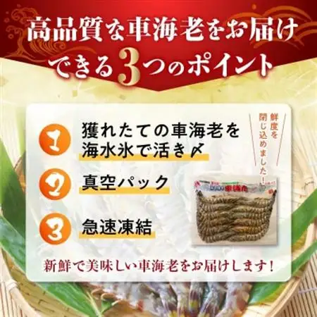活き〆冷凍車海老LLサイズ【配送不可地域：離島】【1186180】