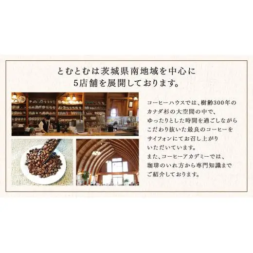 ≪ 熨斗付 ≫ とむとむ 自家焙煎 レギュラーコーヒー 2缶 セット ( 各200g )