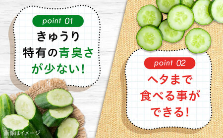 きゅうり5kg Lサイズ きゅうり[XCA001]