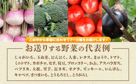 旬の野菜詰め合わせ 7～8種 | 野菜セット 詰め合わせ