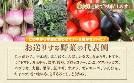 ＜6ヵ月定期便＞旬の野菜詰め合わせ 7～8種 | 野菜セット 詰め合わせ 定期便