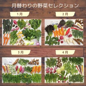 ＜12ヵ月定期便＞旬の野菜詰め合わせ 7～8種 | 野菜セット 詰め合わせ 定期便